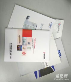 樂清樣本畫冊設計與印刷服務 宣傳冊、單張、說明書與網站設計一體化解決方案